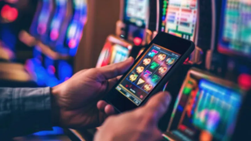 PKlive App | Reliable Link to Download on Android and iOS